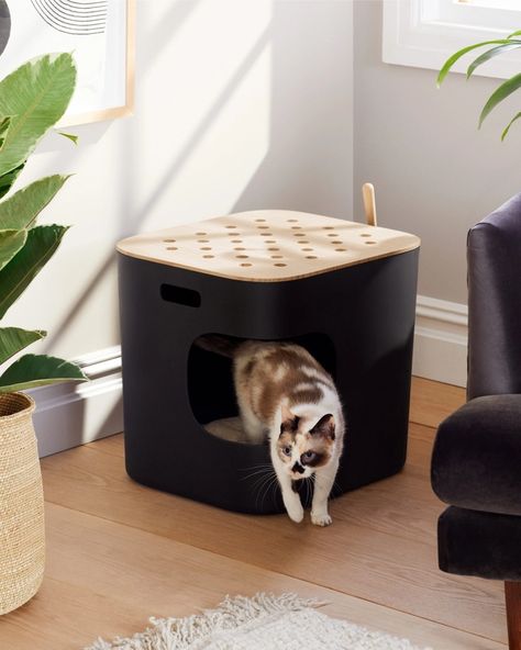 Skylight Litter Box | Cat Person Hidden Cat Litter Box Ideas, Litter Furniture, Cat Litter Box Diy, Hidden Laundry Rooms, Hidden Bathroom, Cat Litter Box Ideas, Hidden Cat Litter, Litter Box Ideas, Ikea Cat