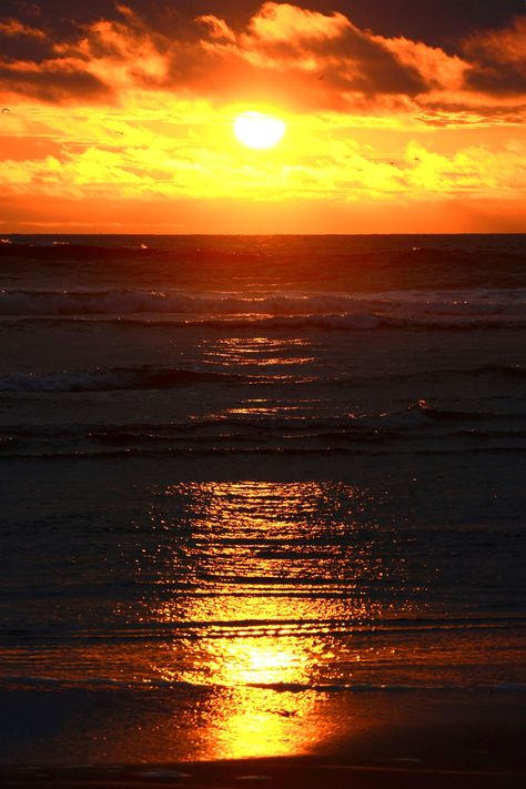 The sunset at this coast outside of Long Beach WA shows why the PNW Coast is one of the most lovely places on earth. There is so much beauty in nature and this is one that is captured for your home or for a gift. The print will be shipped unmatted and unframed to allow you to customize these details to your own tastes. I will ship the print in a tube for safe delivery. Warm Beach Aesthetic, Preppy Sunsets, Pictures Of The Sunset, Forest Library, Pnw Coast, Outside Aesthetic, Fall Beach, Beautiful Beach Pictures, Sunset Vibes