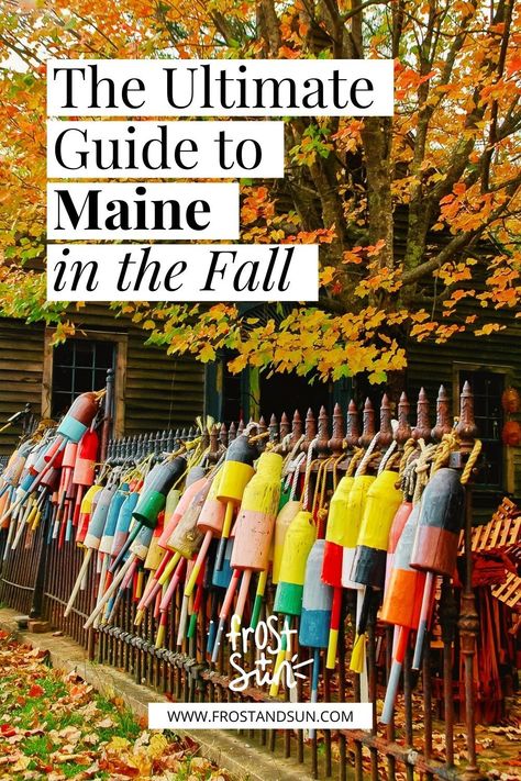 Maine Vacation Fall Road Trips, Maine In The Fall Road Trips, Fall In Bar Harbor Maine, Fall Maine Trip, Maine Things To Do In Fall, Things To Do In Maine In October, Trip To Maine In The Fall, Ogunquit Maine Fall, Fall Trip To Maine