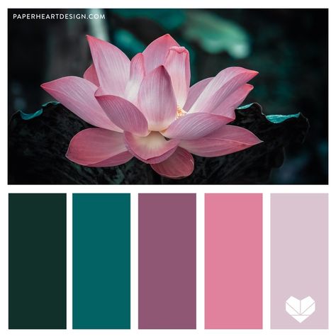 Color Palette: Peaceful Palettes — Paper Heart Design Lotus Color Palette, Orchid Color Palette, Floral Color Palette, Color Schemes Colour Palettes, Rustic Colors, Paper Heart, Floral Color, Colour Board, Neutral Colour Palette