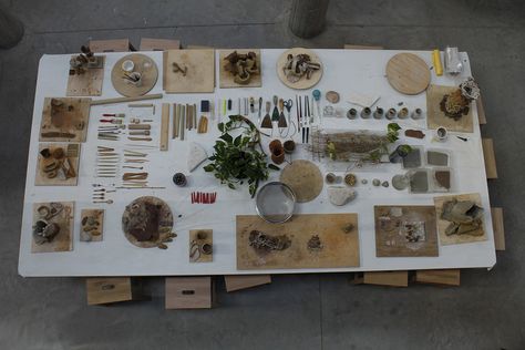 Reggio Children - In the Shape of Clay Atelier Reggio Atelier, Nature Based Classroom, Early Childhood Education Classroom, Reggio Children, Atelier Ideas, Reggio Emilia Approach, Reggio Classroom, Farm Preschool, Reggio Inspired