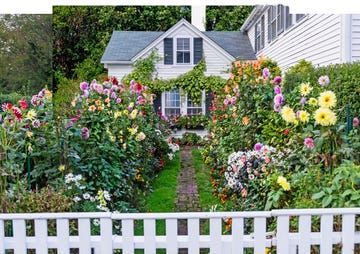 Dream Cottage, Martha's Vineyard, Marthas Vineyard, English Cottage, Garden Cottage, Pretty House, Cottage Homes, Better Homes And Gardens, Dream Garden