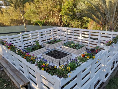 Pallet Projects Garden, Diy Garden Fence, Jardim Diy, Garden Wallpaper, Garden Area, Pallet Garden, Pallets Garden, Home Vegetable Garden, Garden Yard Ideas