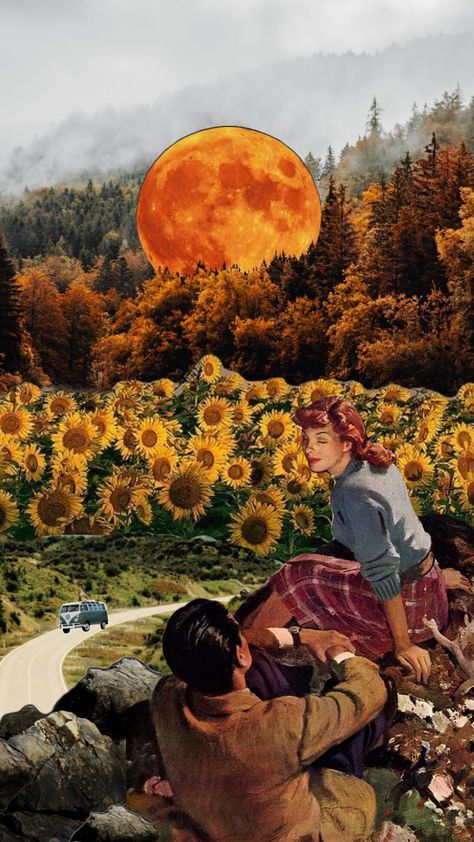 harvest moon tonight 🌝 #harvestmoon #aesthetic #vintage #collage #sunflower #retro Sunflower Aesthetic Vintage, Harvest Moon Aesthetic, Vintage Sunflower Aesthetic, Sunflower Aesthetic, Vintage Sunflower, Vintage Collage, Harvest Moon, Aesthetic Vintage, Sunflower