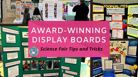 Learn how to create a professional looking science fair board before. We will show the supplies, layout, and tips for wowing the judges! How To Make A Science Fair Display Board, Science Fair Display Board Ideas, Science Fair Board Ideas, Science Fair Boards, Science Fair Board Layout, Plant Science Fair Projects, Slime Science Fair Project, Erosion Lab, Winning Science Fair Projects