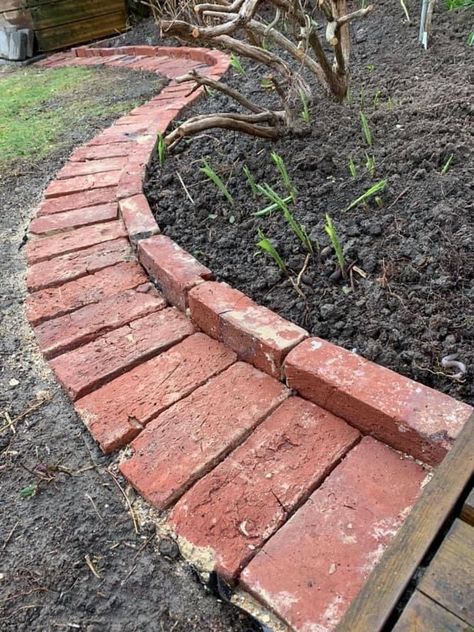 Brick Garden Edging, Brick Path, Brick Garden, Landscape Designs, Have Inspiration, Garden Yard Ideas, Garden Edging, Small Backyard Landscaping, Lawn And Garden