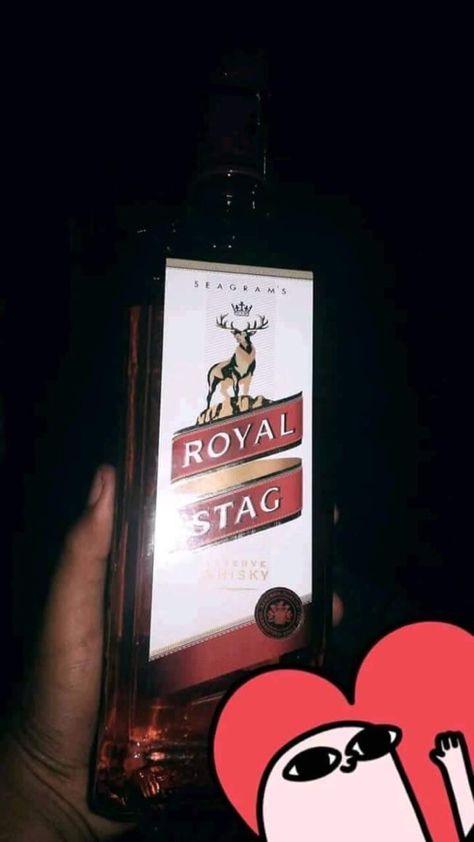 Royal Stag, Couple Images, Cute Love Couple Images, Cute Love Couple, Cute Love, Book Cover, Quick Saves