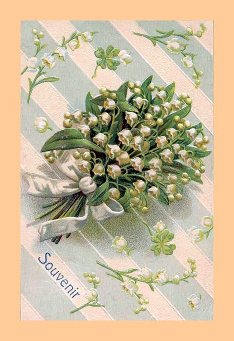 Muguets - 1Mai | Flickr - Photo Sharing! Lily Of The Valley Flowers, Backyard Flowers, Valley Flowers, Aesthetic Garden, Garden Aesthetic, Up Book, Victorian Art, Ideas Garden, Old Postcards