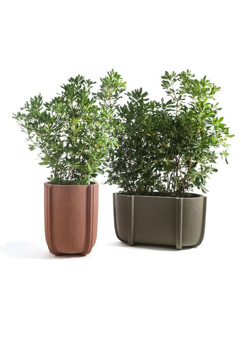 The Cassero collection, designed by Patricia Urquiola for Serralunga, is inspired by the moulds used in the concrete construction industry. This collection of one-piece planters made from lightweight polyethylene have a hand cast cement texture, as if they have been cast from the mould and appearing to have a solid concrete structure. #italianfurniture #potplant #planterpots Landscape Planters, Outside Planters, Plant Vessels, Outdoor Vases, Cement Texture, Modern Pot, Gardening 101, Patricia Urquiola, Interior Plants