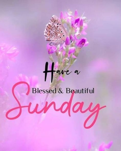 Spiritual Morning, Sunday Morning Images, Sunday Morning Wishes, Blessed Sunday Morning, Tuesday Thoughts, Sunday Thoughts, Happy Sunday Images, Good Morning Sunday Images, Sunday Morning Quotes