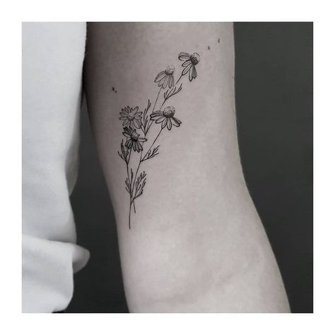 CHAMOMILE - for romy from the netherlands. as a symbol for calmness and self-confidence. April Daisy Tattoo, Bee And Daisy Tattoo, Foot Tattoo Ideas, Confidence Tattoo, Daisy Tattoos, Grandma Tattoos, Strawberry Tattoo, Flowers Daisies, Bouquet Tattoo