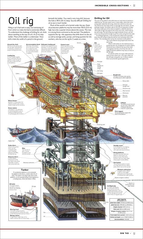 Oil Rig Architecture, Offshore Oil Rig, Petroleum Engineering, Engineering Notes, Oil Platform, Marine Engineering, Physics And Mathematics, Oil Industry, Drilling Rig