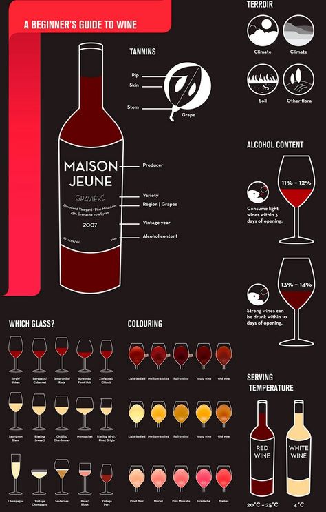 Beginner's guide to wine Wine Infographic, Types Of Wine Glasses, Art Du Vin, Wine Facts, Wine 101, Wine Knowledge, Wine Expert, Wine Education, Wine Guide