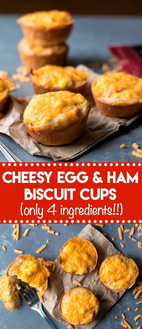 Grand Biscuit Recipes, Ham Biscuits, Eggs In Muffin Tin, Biscuit Cups, Egg Biscuits, Soup Recipes Vegetarian, Healthy Recipes Crockpot, Ham Breakfast, Pillsbury Biscuits