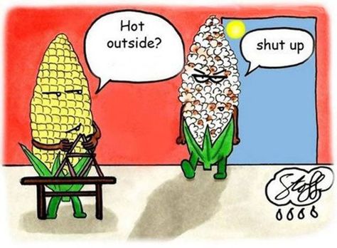 hot outside shut up popcorn Warm Weer Humor, Funny P, Spanish Jokes, Hot Outside, Corny Jokes, Humor Videos, Clean Humor, Humor Grafico, Funny Bunnies