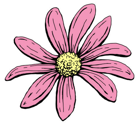 Pink Flower Drawing, Hur Man Ritar Blommor, Drawing Vector, Collage Sheet, Pink Flower, Flower Drawing, Pink Flowers, Vector Images, Illustrations