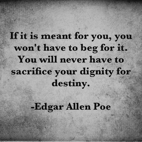 Edgar Allen Poe Quotes, Edgar Allan Poe Quote, Poe Quotes, Allen Poe, Edgar Allen Poe, Literature Quotes, Like And Comment, Edgar Allan, Writing Quotes