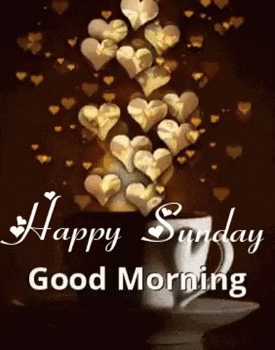 Happy Sunday GIF - HappySunday - Discover & Share GIFs Sunday Gif, Sunday Morning Wishes, Good Morning Gift, Sunday Morning Quotes, Good Sunday Morning, Good Morning Funny Pictures, Good Morning Happy Sunday, Good Morning Roses, Good Morning Animation