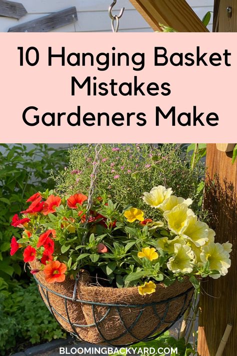 10 Hanging Basket Mistakes Too Many Gardeners Make Perennial Hanging Baskets, Wire Hanging Basket Ideas, Plants For Hanging Baskets Outdoor, Outdoor Plant Ideas, Hanging Baskets Ideas, Petunia Hanging Baskets, Fall Hanging Baskets, Hanging Baskets Diy, Hanging Greenery