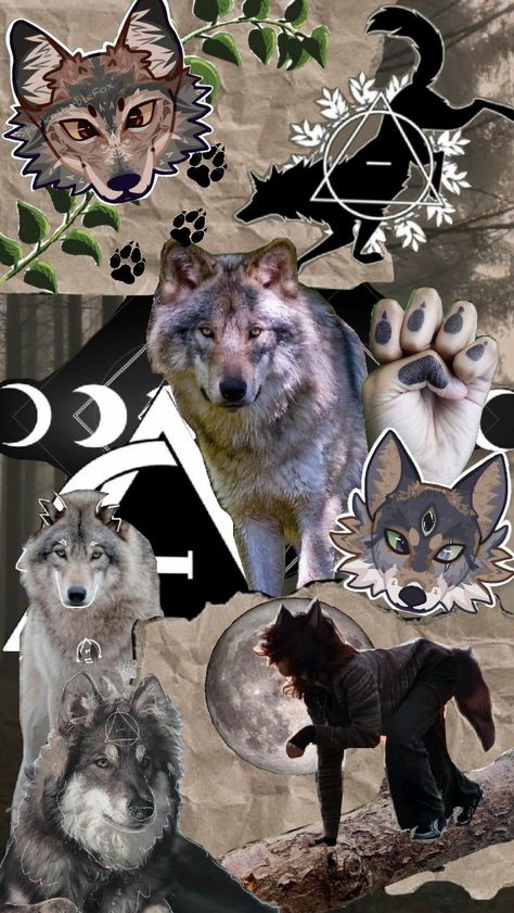 therian wolf wallpaper :3 Therian Wolf, White Coyote, Felt Animal Masks, Wolf People, Wolf Background, Cute Laptop Wallpaper, Wolf Wallpaper, Animal Masks, Scary Art