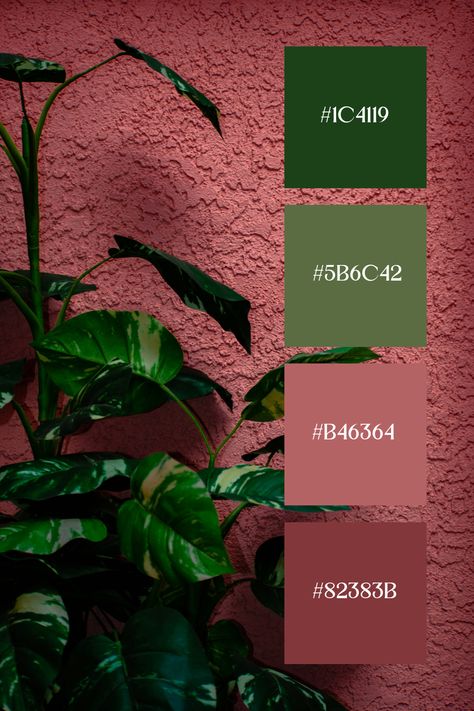 A striking green and pink palette contrast is created by a deep green plant set against a textured pink wall. The dark leaves and soft pink background balance each other beautifully, adding a modern and stylish touch. Dark Green Room Color Palette, Green Color Matching, Contrast Palette, Forest Green And Pink Color Palette, Colors That Match With Pink, Green Contrast Color Combinations, Pink Red Green Color Palette, Green Black Color Palette, Deep Green Color Palette