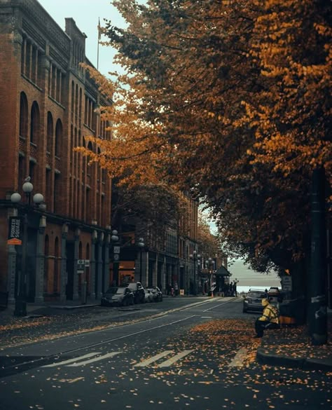 Pioneer Square, Seattle Seattle Pioneer Square, Pioneer Square Seattle Photoshoot, Seattle Fall Aesthetic, Autumn City Aesthetic, Seattle Autumn, Notion Gif, Phd Motivation, Seattle Fall, Seattle Aesthetic