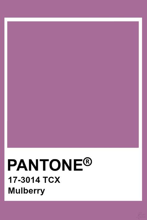 Pantone Mulberry Mulberry Colour Palette, Mulberry Color Palette, Pantone Purple, Pantone Tcx, Pantone Colours, Pantone Color Chart, Pantone Swatches, Soft Summer Colors, Pantone Palette