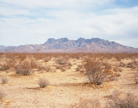 Mojave Desert, 2020 Mojave Desert Aesthetic, Creepy Desert, Southwestern Gothic, Alice Cosplay, Desert Aesthetic, Nevada Desert, Desert Dream, Senior Project, American Western