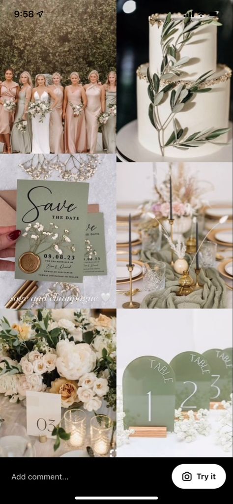 June Wedding Colors, Champagne Wedding Themes, Bridesmaid Dress Color Schemes, Green Fall Weddings, Sage Green Wedding Theme, Sage Wedding Colors, Sage Green Wedding Colors, Wedding Theme Color Schemes, Champagne Wedding Colors