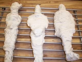 How To Mummify a Barbie! | Just Call Me Jamin Ancient Egypt Unit, Egypt Project, 6th Grade Social Studies, Homeschool History, Classical Conversations, Mystery Of History, Teaching Social Studies, Teaching History, Study History