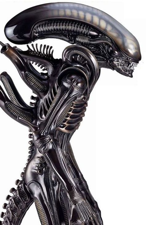 Xenomorph Costume, Hr Giger Alien, Giger Alien, Alien Figure, Alien Photos, H.r. Giger, Alien Face, Alien Queen, Alien Tattoo