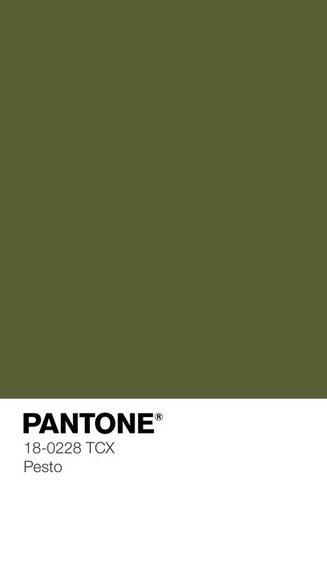 Moss Green Pantone, Moss Green Colour Palette, Green Colour Pantone, Pantone Olive Green, Olive Green Palette Colour Schemes, Moss Green Aesthetic, Moss Color Palette, Olive Pantone, Olive Green Palette