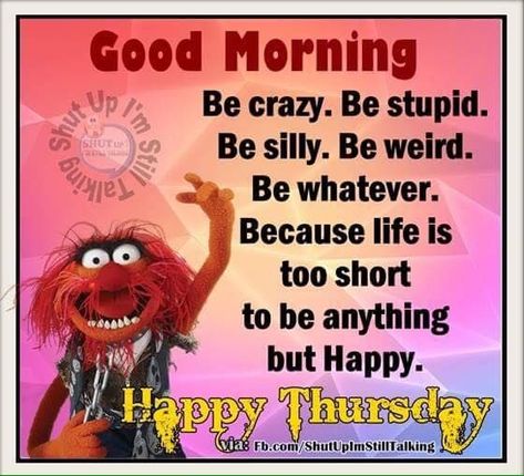 Funny Thursday Quotes, Thursday Images, Thursday Greetings, Funniest Quotes, Thursday Humor, Learning Tarot, Happy Thursday Quotes, Good Morning Thursday, Good Morning Quotes For Him