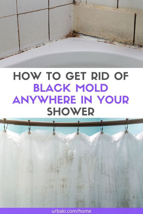 Do you have black mold in the showers? Before you panic about black mold over shower health risks, here's what you need to know about it and how to remove black mold from showers: Bath Dough, Shower Mortar, Behind Tile. And showers on walls and ceilings, on shower curtains, and even on shower drains. This is apparently a very common problem! Shower Mold Cleaner, Black Mold In Shower, Cleaning Shower Mold, Get Rid Of Black Mold, Remove Mold From Shower, Clean Black Mold, Bathroom Mold Remover, Cleaning Shower Tiles, Shower Mold