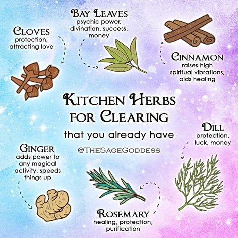 Herbs For Protection, Herbal Witch, Outdoor Meditation, Goddess Magick, Money Spells That Work, Magickal Herbs, Medicinal Herbs Garden, Witch Herbs, Magic Spell Book