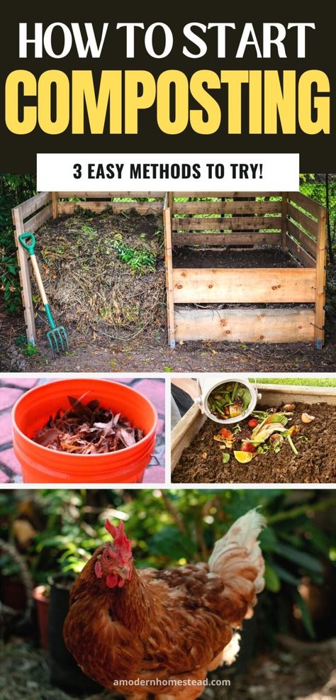 How to Start Composting (3 Easy Methods) Easy Composting, Apartment Composting, How To Start Composting, Compost Bin Pallet, Start Composting, Making A Compost Bin, Composting Methods, How To Compost, Compost Bin Diy