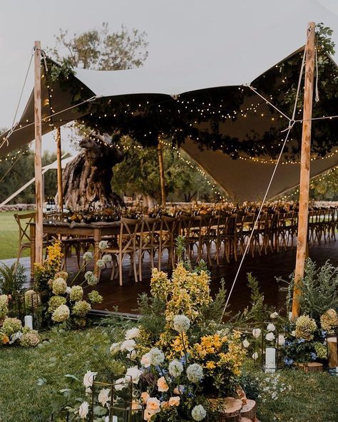 Wedding Tent Draping, Reception Decorations Wedding, Tents For Parties, Outdoor Wedding Reception Decorations, Stretch Tent, Wedding Tent Decorations, Decoration Ideas Wedding, Outdoor Tent Wedding, Tent Wedding Reception