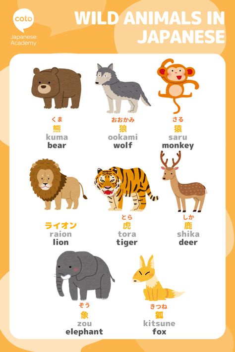 Animals In Japan, Japan Animals, Cool Fantasy Names, Learn Basic Japanese, Japanese Vocabulary, Basic Japanese, Bahasa Jepun, Japanese Animals, Materi Bahasa Jepang