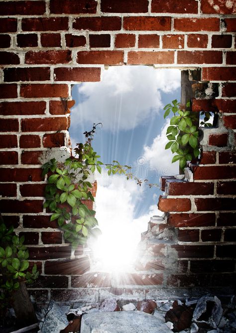 Hole in brick wall. A brick wall with hole and vines climbing on surface with a , #Aff, #hole, #vines, #climbing, #Hole, #brick #ad Brick Wall Art Outdoor, Hole In Brick Wall, Old Brick Wall Drawing, Hole In The Wall Drawing, Brick Wall Acrylic Painting, Murals On Brick Walls, Brick Wall With Vines, Brick Art Painted, Brick Painting Art