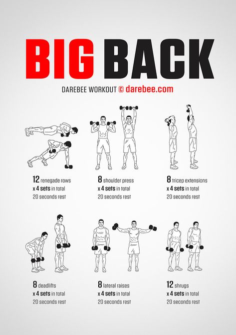 Bicg Back workout poster Big Back Workout, Back Workout Men, Gym Back Workout, Free Weight Workout, Back Workout At Home, Fitness Studio Training, Latihan Dada, Gym Antrenmanları, Dumbell Workout