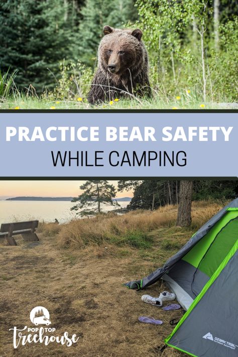 How to Practice Bear Safety While Camping pin Bear Safety, Hunting Tattoos, Camping Safety, Safety Rules, Safety Tips, Tree House, Bears, Hunting, Camping