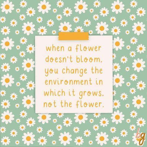 beth @ blushing ginger on Instagram: "when a flower doesn’t bloom, you change the environment in which it grows, not the flower 🌼 buy this as a print on our Etsy - link in bio🔗 #like this post 🤍 #save for later 🗄 #follow for more ➕ #share with a friend ✉️ #blushingginger #procreate #handlettering #smallbusiness #supportsmallbusinesses #etsy #etsyseller #thortful #thortfulcreators #selfcare #positivity #positivevibes #feminist #feminism #quoteoftheday #qotd #art #lettering #design #typography When A Flower Doesn't Bloom, Bloom Quotes, Art Lettering, Psychology Quotes, Girls Camp, Flower Quotes, Save For Later, Design Typography, Self Love Quotes