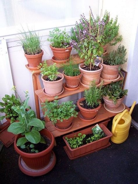 24 Ladder Herb Garden Ideas | Balcony Garden Web Balcony Herb Gardens, Small Balcony Garden, Herb Garden Design, Garden Wallpaper, Landscaping Garden, Indoor Herb Garden, Herbs Indoors, Vegetable Garden Design, Ideas Garden