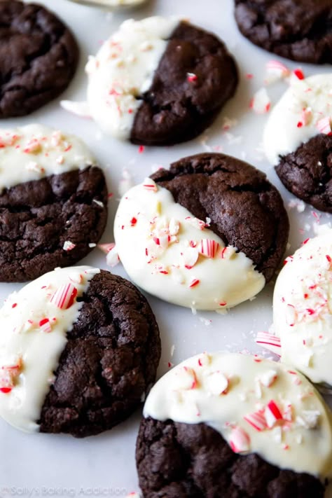 Peppermint Mocha Cookies - Sally's Baking Addiction Peppermint Mocha Cookies, Xmas Cookies Recipes, Peppermint Bark Cookie, Mocha Cookies, Chocolate Peppermint Cookies, Sally's Baking, Frozen Cookies, Peppermint Cookies, Best Christmas Cookies