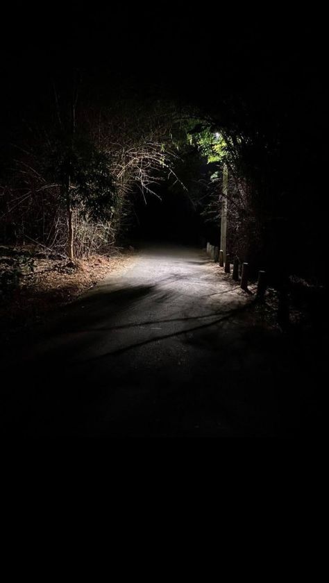 Scary Woods, Walking Pictures, Midnight Walk, Tesla Quotes, Dark Outside, Night Walks, Urban Lighting, Night Forest, Snowy Forest