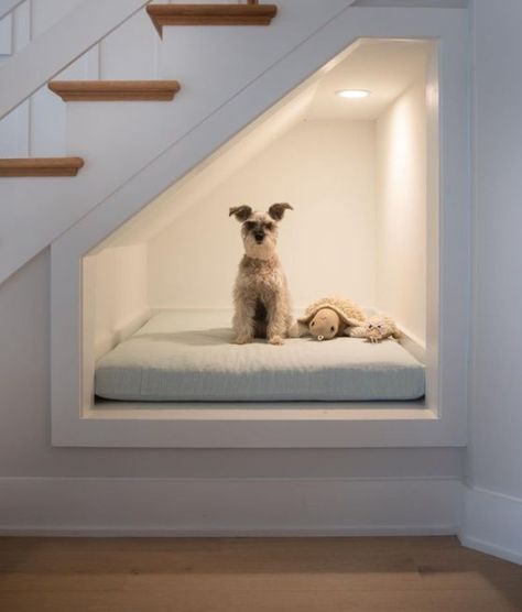 Barkitecture Ideas, Dog Under Stairs, Built In Dog Bed, Bed Under Stairs, Under Stairs Dog House, Dog Nook, Under Stairs Nook, Compact Office, Room Under Stairs