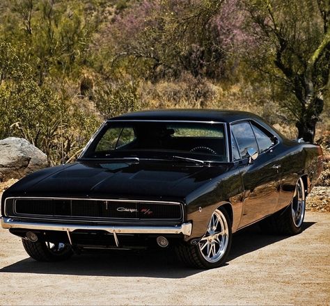 Dodge Charger 1970, 1968 Dodge Charger, Dodge Charger Rt, 1969 Dodge Charger, Ford Mustang Coupe, Old Muscle Cars, Charger Rt, Dodge Muscle Cars, Ford Galaxie