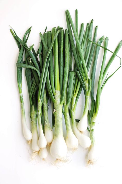 Green Onion Photography, Fresh Vegetables Photography, Onion Recipes Healthy, Onion Photography, Vegetable Photography, Spring Onion Recipes, Dill Butter, Vegetables Photography, Spring Onions