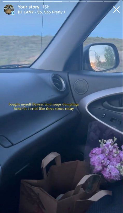 Long Drive Instagram Stories, Night Drive Caption, Trader Joes Flowers, Buy Yourself Flowers, Store Aesthetic, Sunset Drive, Aesthetic Captions, Caption For Friends, Quirky Quotes