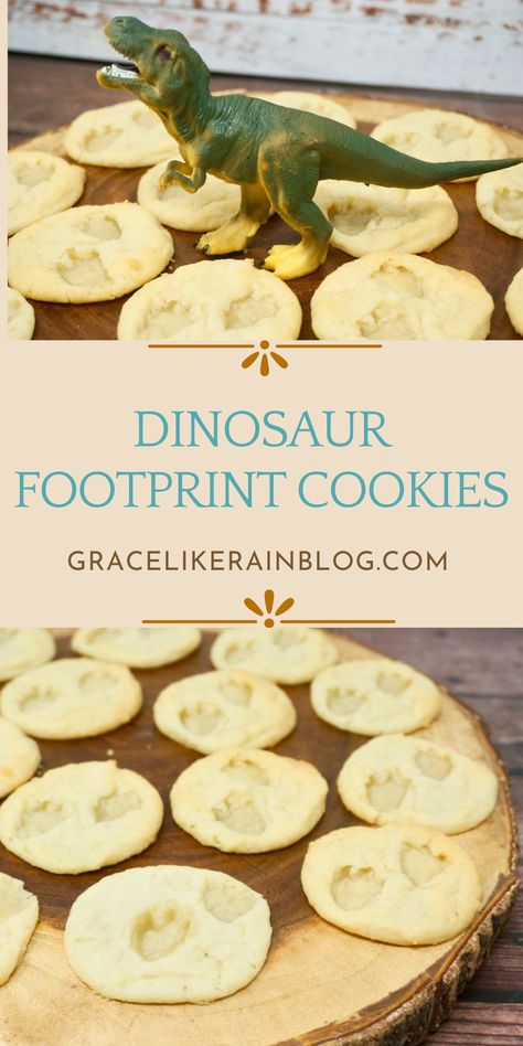 sugar cookies with dinosaur footprints embedded into them, looks just like dinosaur fossils Fossil Cookies, Dinosaur Snacks, Refrigerated Cookie Dough, Dinosaur Birthday Theme, Dinosaur Birthday Party Decorations, Simple Birthday Party, Dinosaur Cookies, Dinosaur Fossil, Dinosaur Footprint